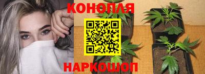 мяу мяу кристалл Малоярославец