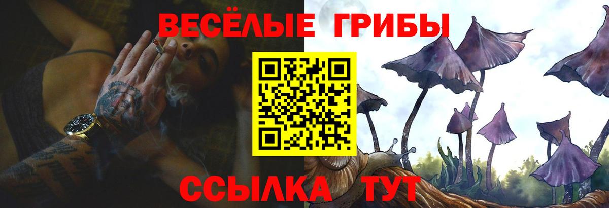 Галлюциногенные грибы мухоморы  магазин    Чернушка  Вход с VPN 